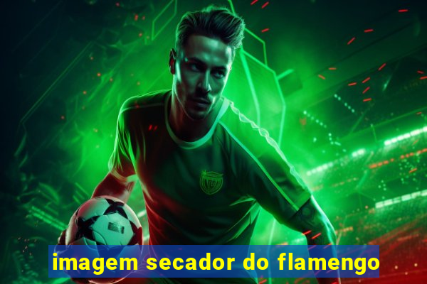 imagem secador do flamengo